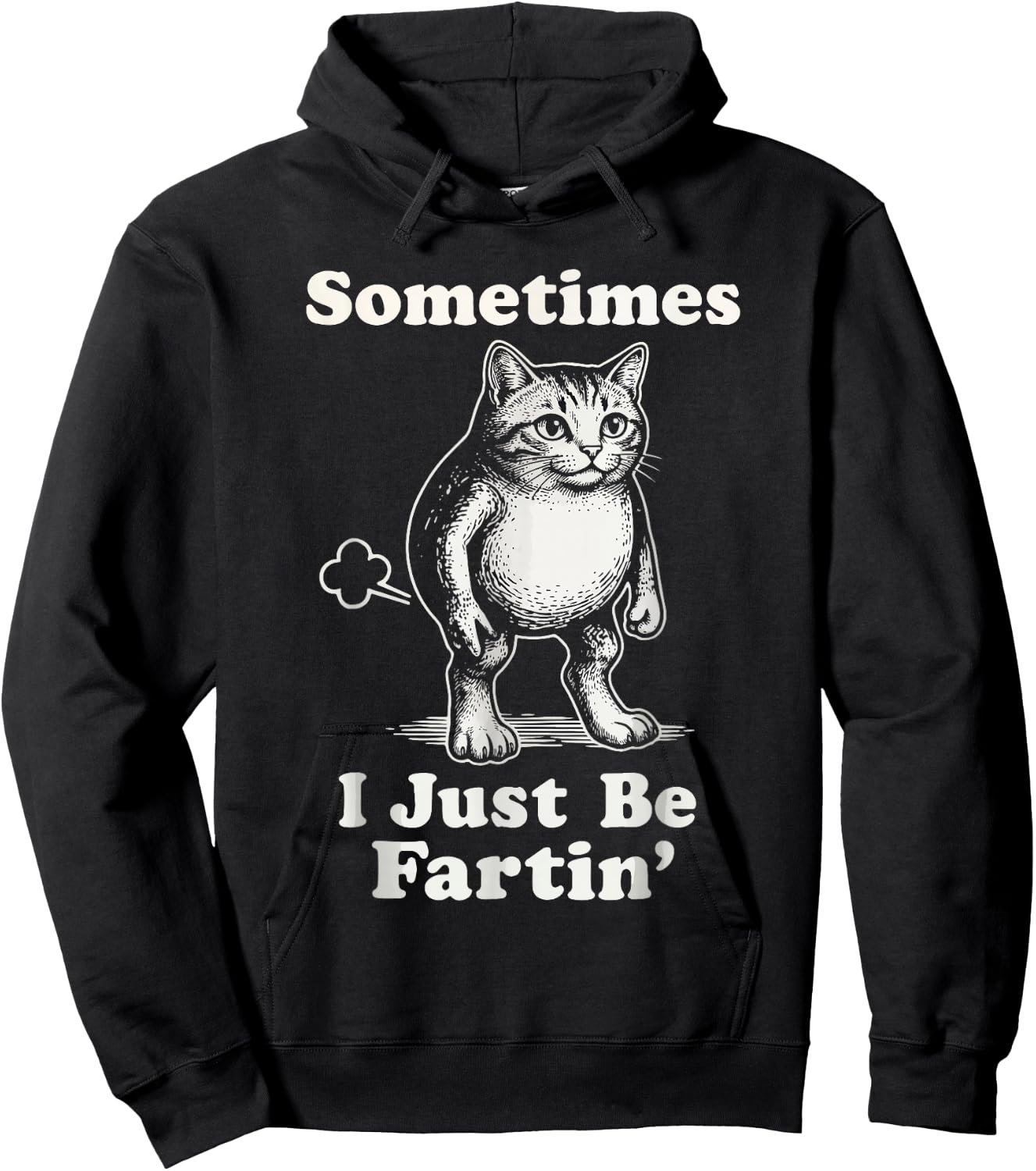 Sometimes I'm Just Fartin' Cat Lover Funny Sarcasm Hoodie - Hoodie | Black