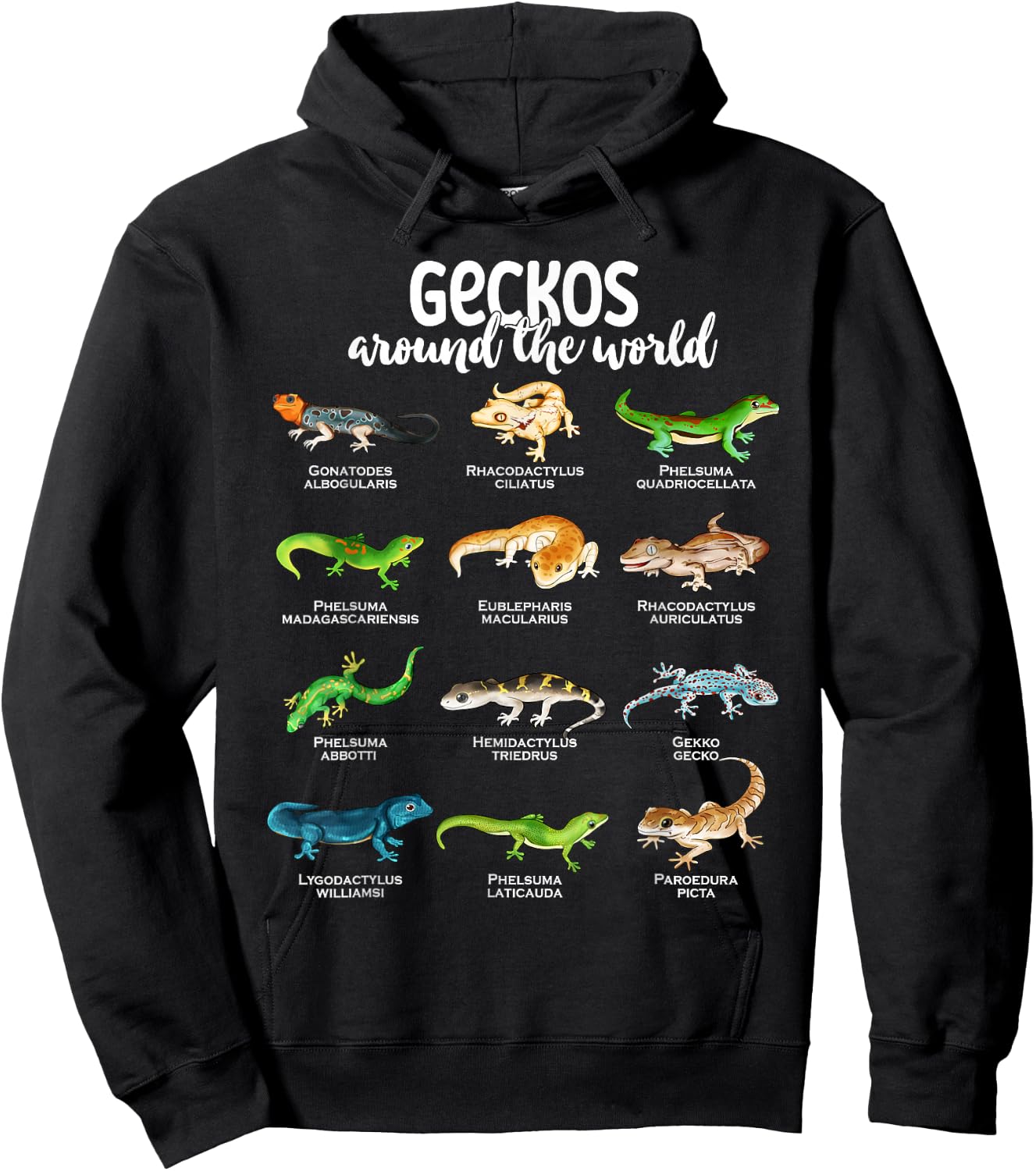 Geckos around the world - Types of Geckos Hoodie - Hoodie | Black