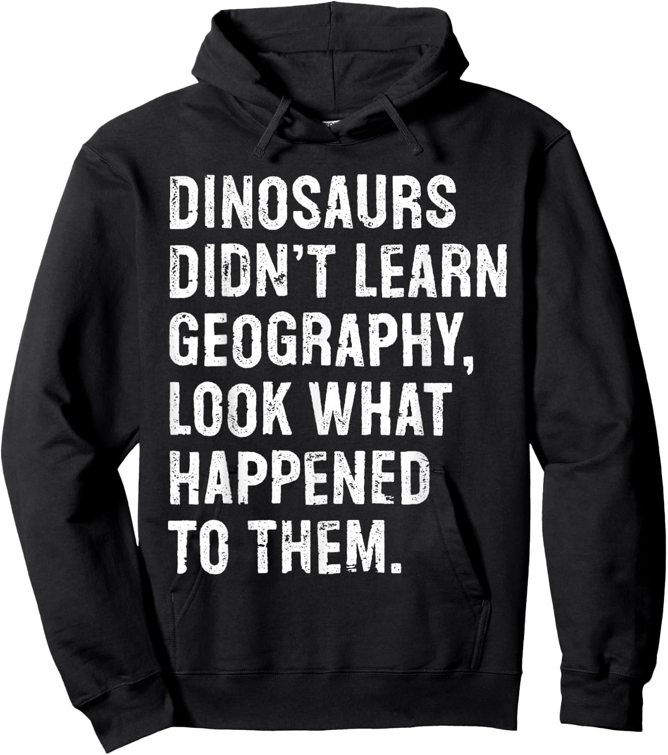 Dinosaurs Didn't Learn Geography Funny Teacher Hoodie - Hoodie | Black