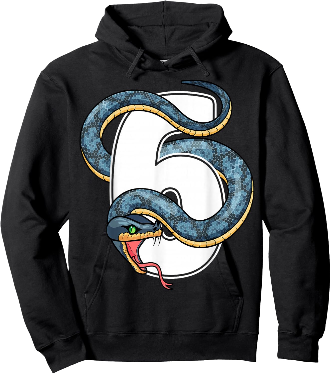 6th Birthday Snake Lover Six 6 Year Old Birthday Boy Girl Hoodie - Hoodie | Black