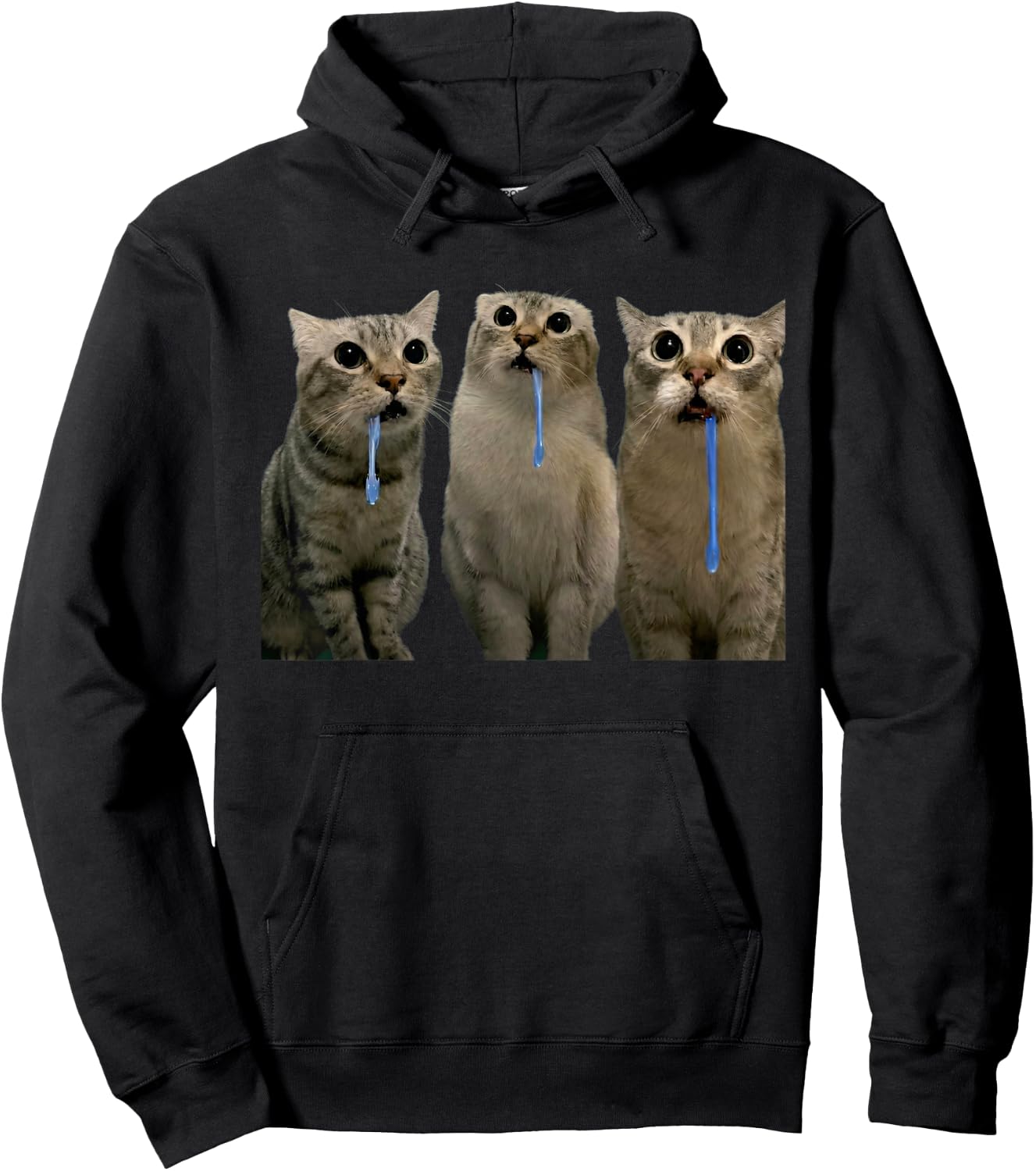 Cats Yelling at a Drooling Cat Double Funny Meme Hoodie - Hoodie | Black
