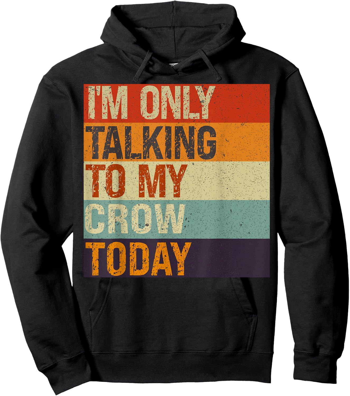 Funny Crow Bird I'm Only Talking To My Crow Bird Today Hoodie - Hoodie | Black