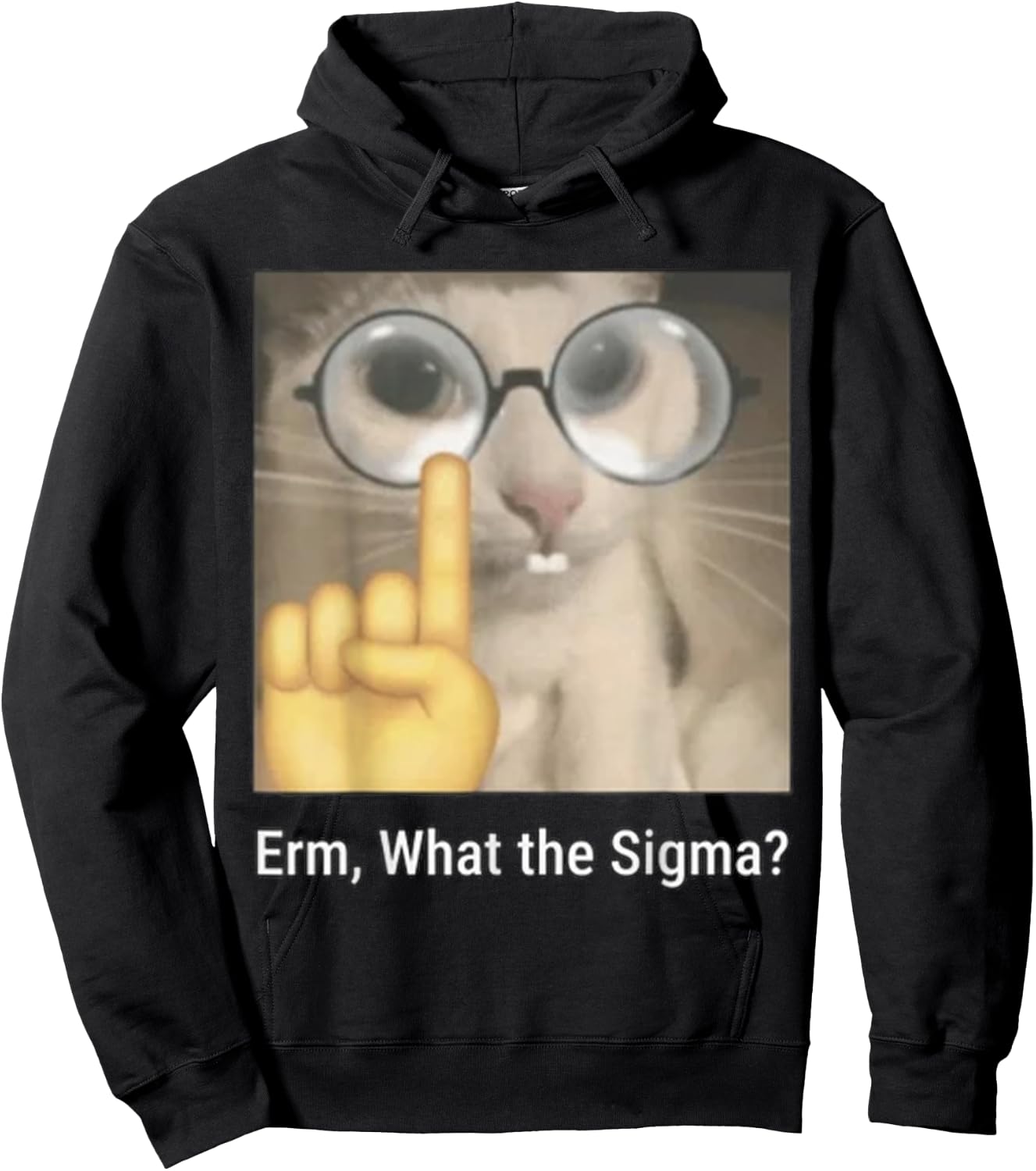 Cat Funny Erm, What The Sigma? Cat Meme Funny Hoodie - Hoodie | Black