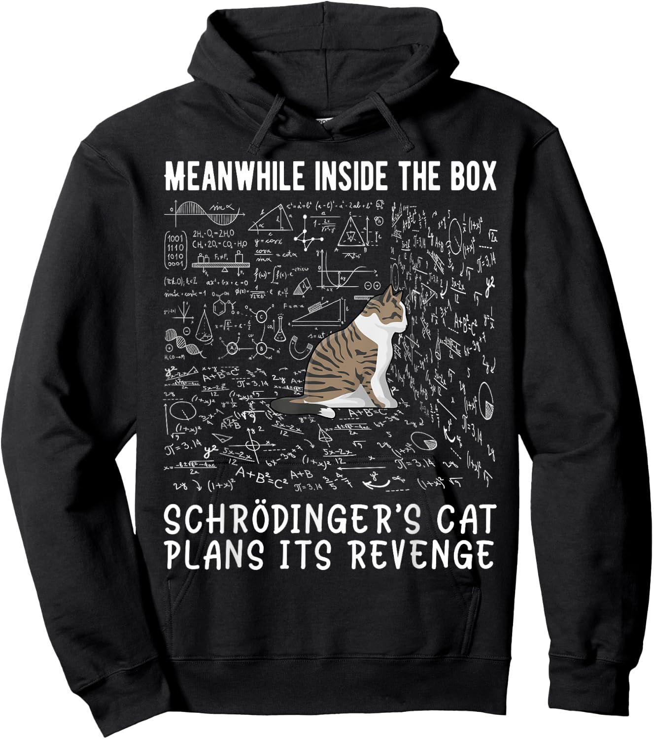 Meanwhile Inside The Box Cat De Schrödinger Vengeance Hoodie - Hoodie | Black