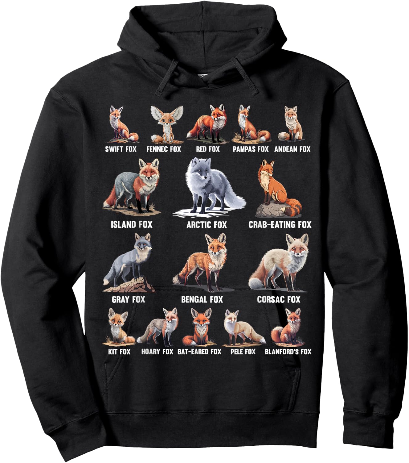 Foxes Of The World Funny Fox Animals Educational Hoodie - Hoodie | Black
