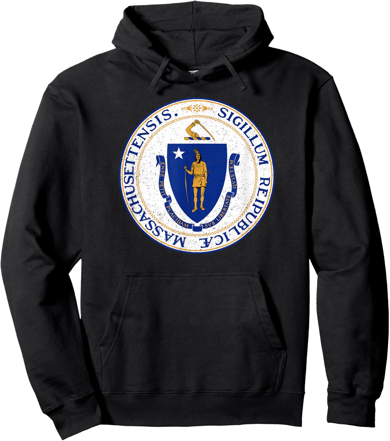Massachusetts State Seal Flag Hoodie - Hoodie | Black