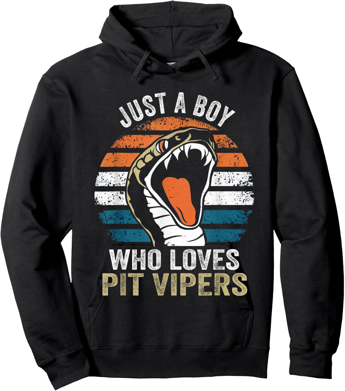 Just A Boy Who loves Pit Vipers Exotic Pet Snake Lover Hoodie - Hoodie | Black