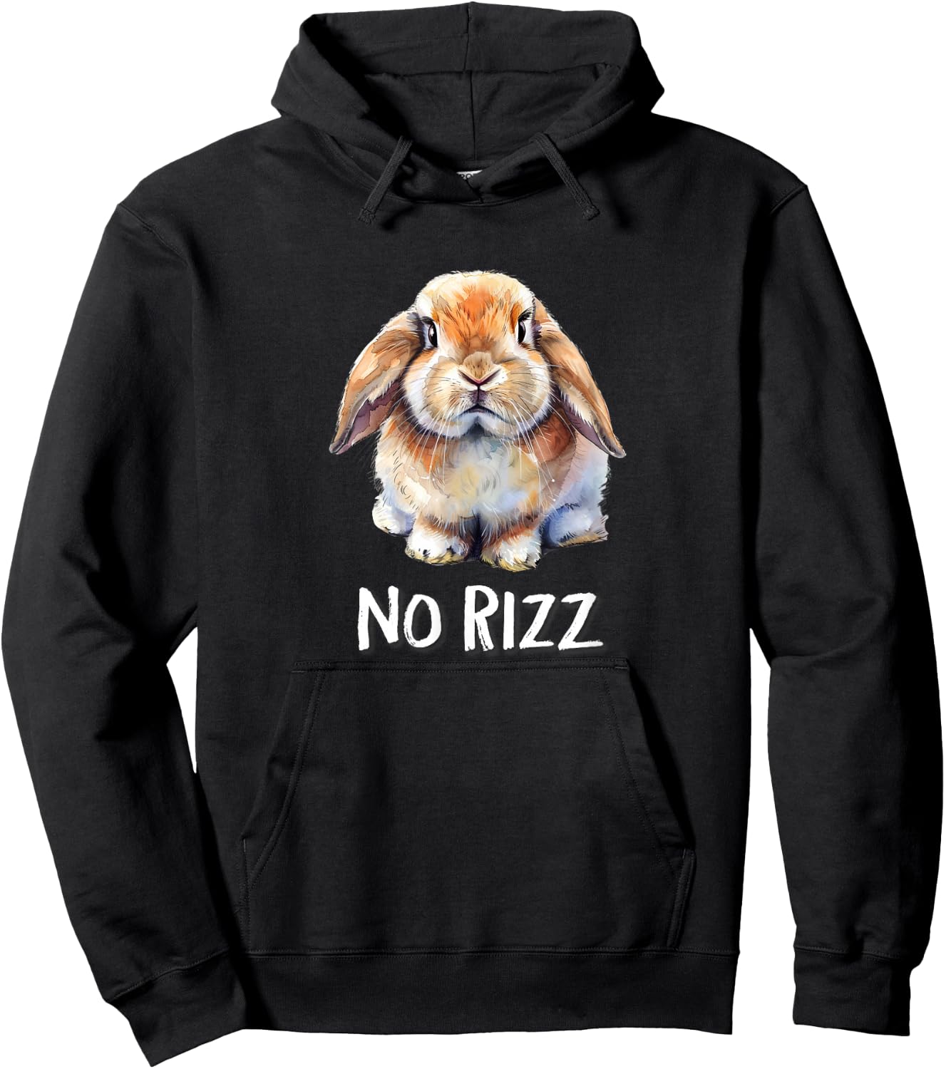 No Rizz Mini Holland Lop Bunny Rabbit Lover Hoodie - Hoodie | Black