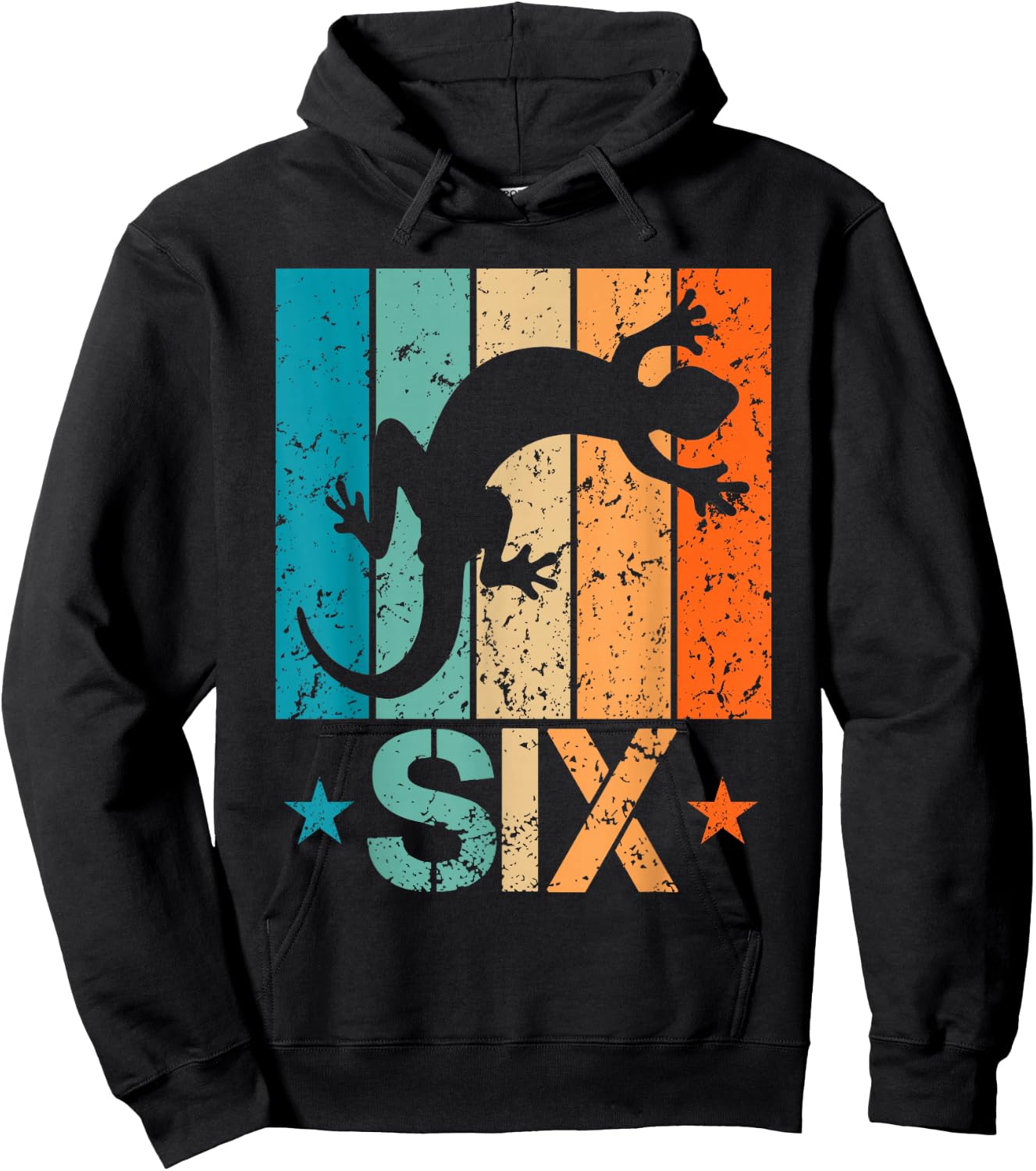 6th Lizard Birthday 6 Year Old 6yr Boy Girl Birthday Reptile Hoodie - Hoodie | Black