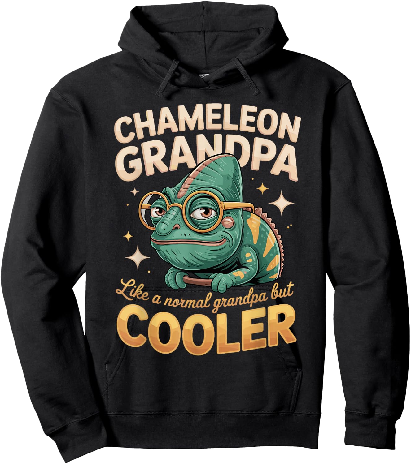 Chameleon Grandpa Like A Normal Grandpa But Cooler Hoodie - Hoodie | Black