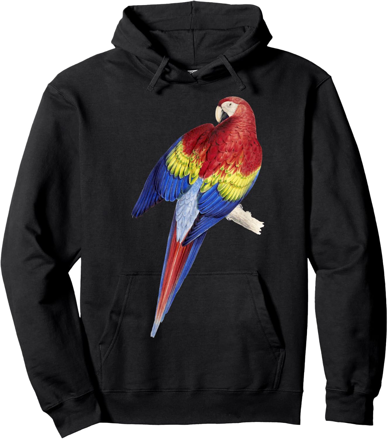 Parrot Scarlet Macaw Pet Owner Gift Scarlet Macaw Hoodie - Hoodie | Black