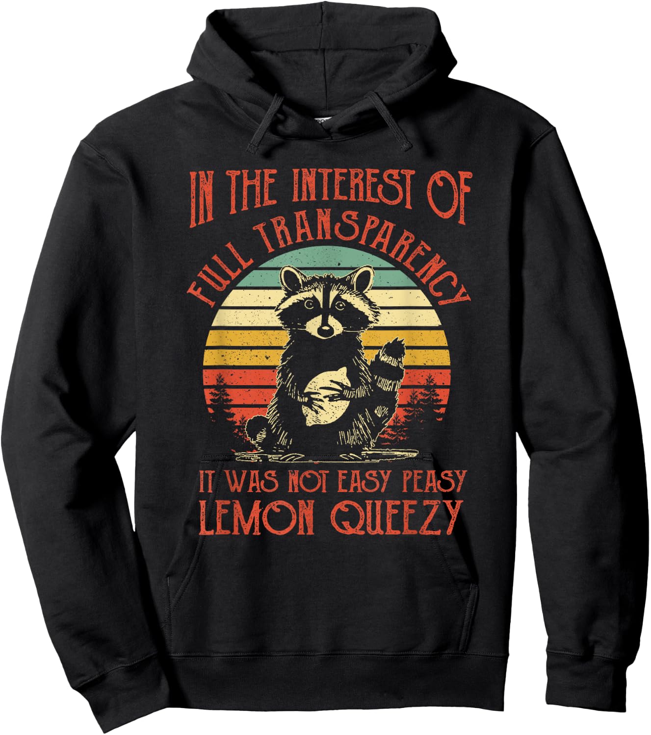 In The Interest of Full Transparency Funny Sarcastic Raccoon Hoodie - Hoodie | Black