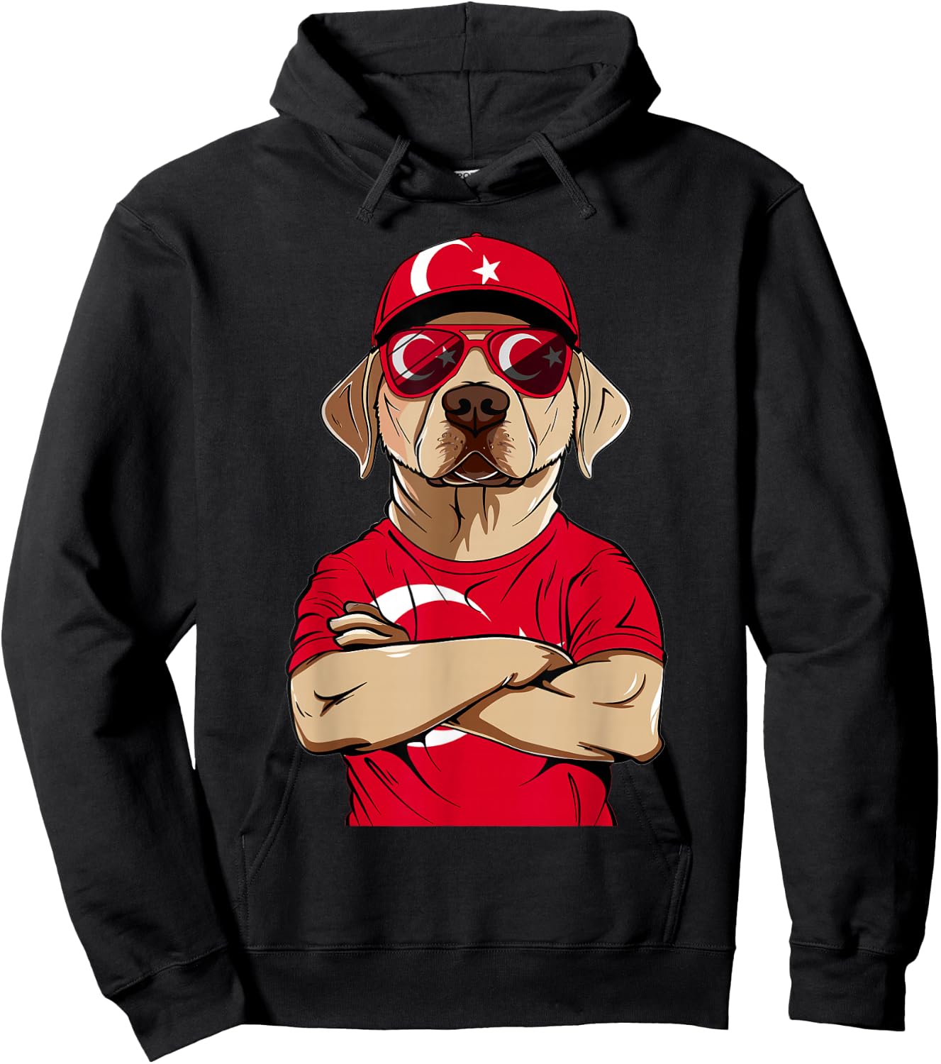 Turkish Flag Dog Mom Souvenirs Products Dogs Turkey Hoodie - Hoodie | Black