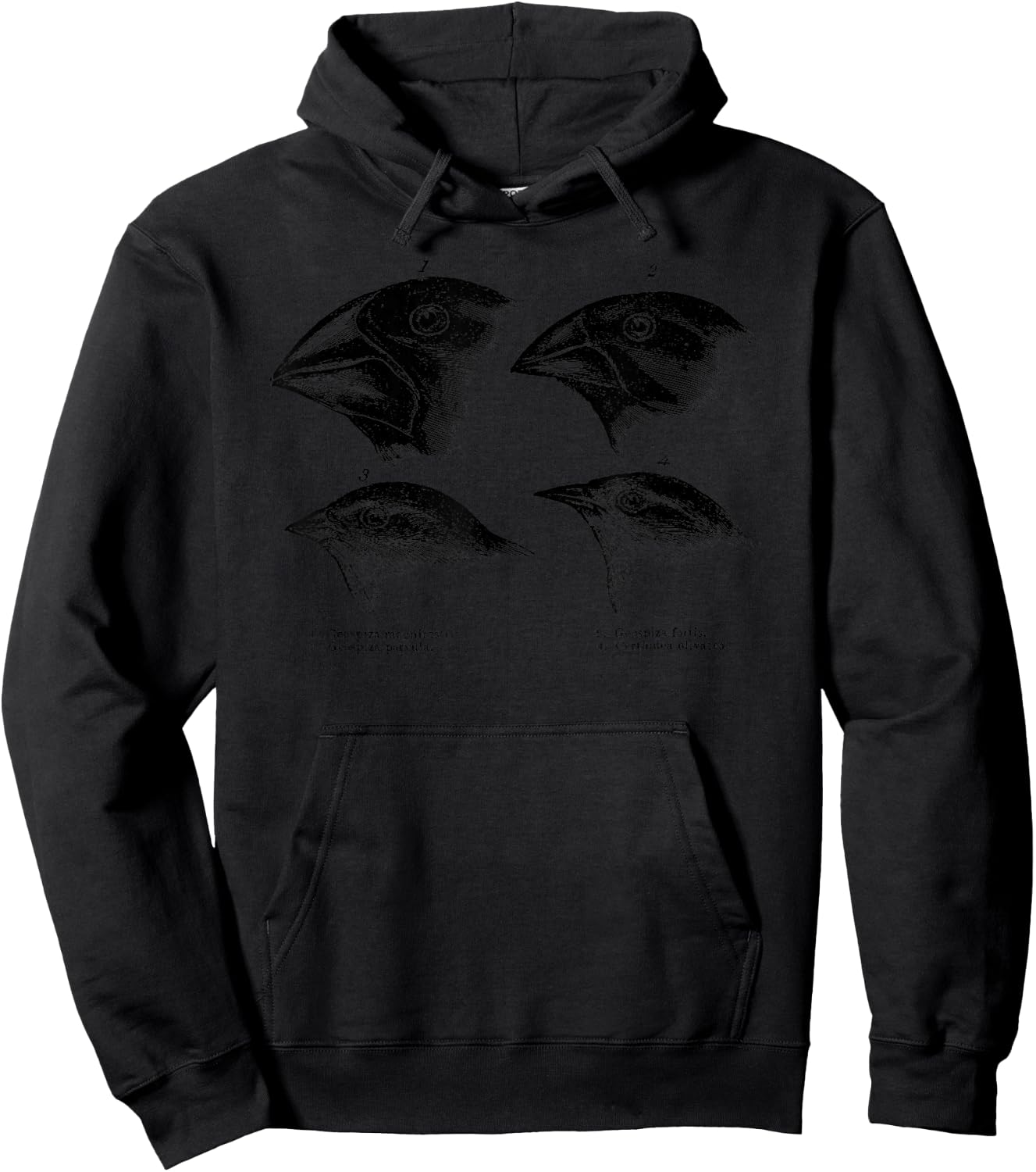Darwin's Finches Evolution Atheist Illustration Hoodie - Hoodie | Black