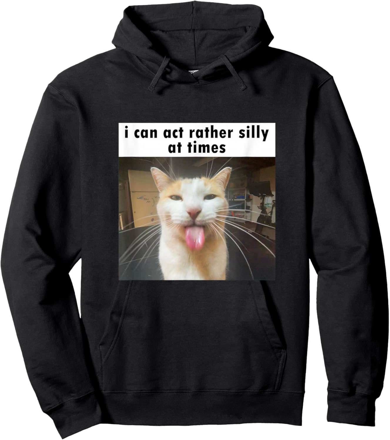 I Can Act Rather Silly at Times, Funny Silly Cat Meme Hoodie - Hoodie | Black
