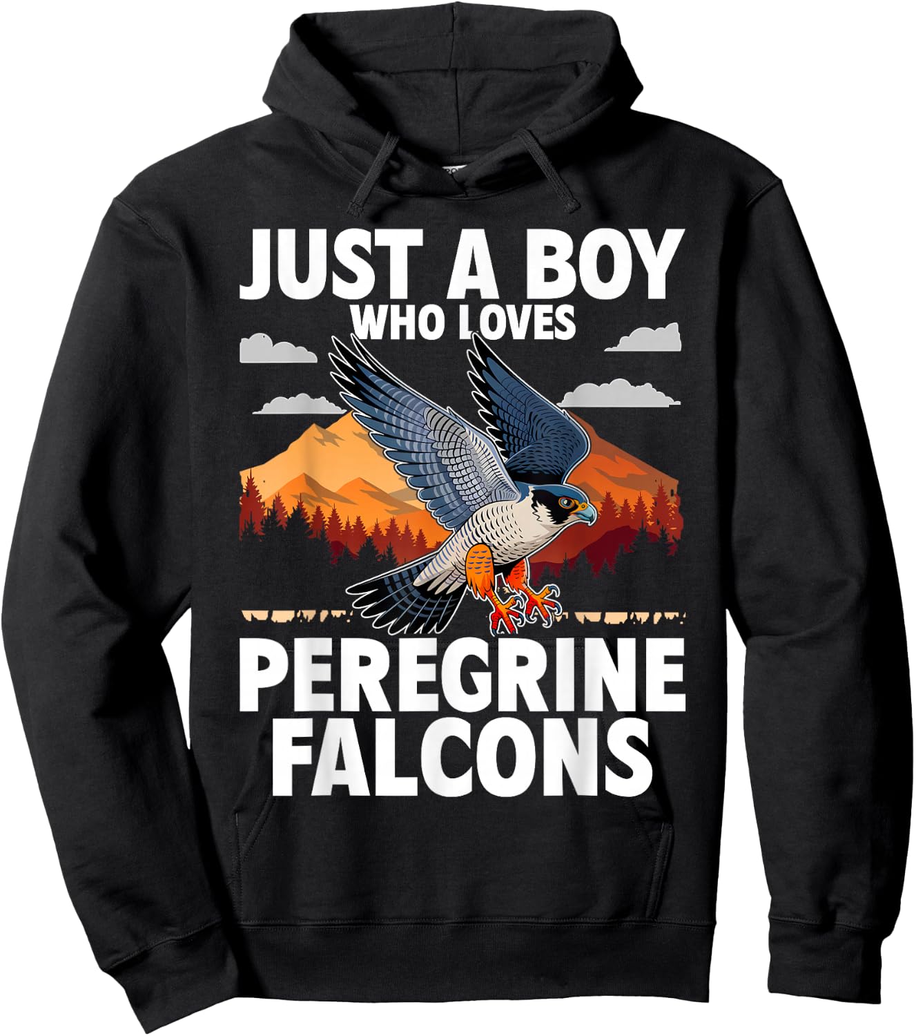 Just A Boy Who Loves Peregrine Falcons Birds Hoodie - Hoodie | Black