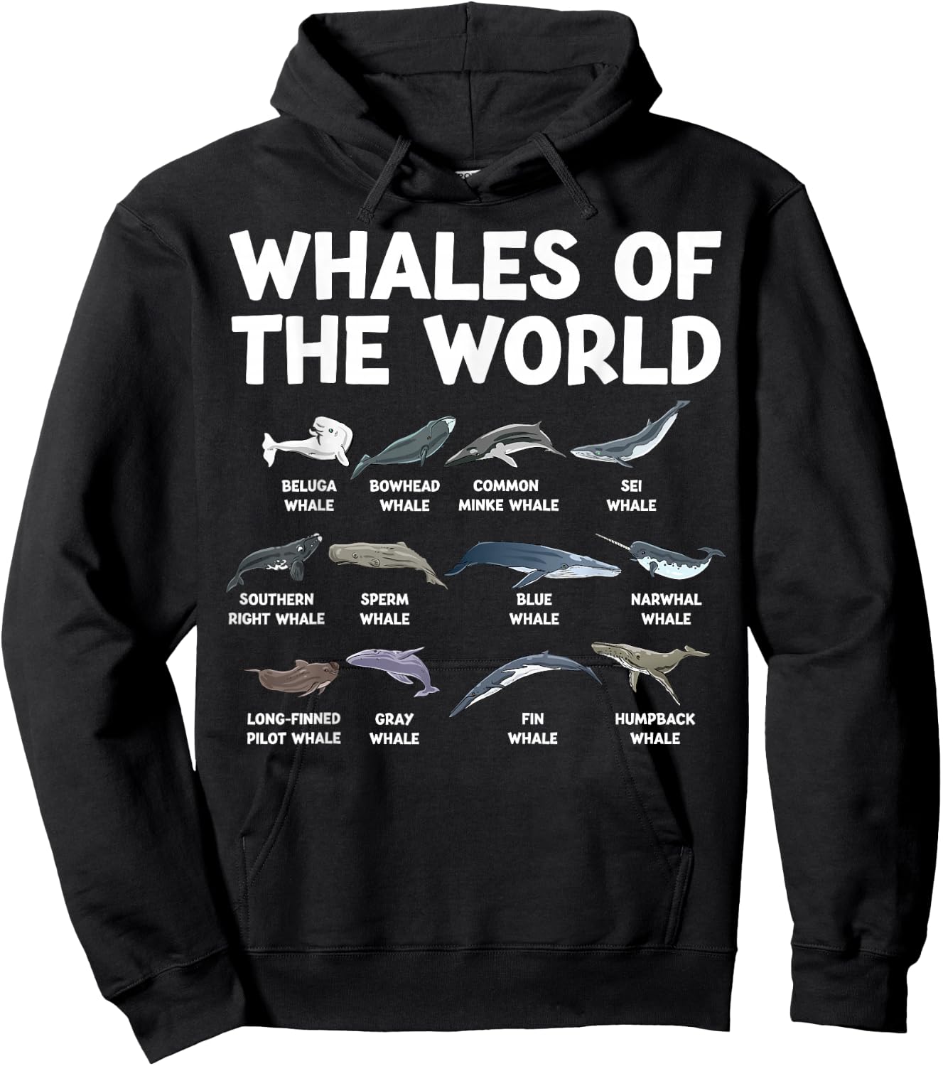 Whales Of The World Kawaii Types Of Whales Sea Animal Whale Hoodie - Hoodie | Black