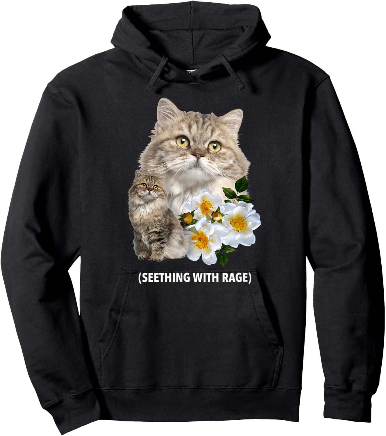 Funny Cat Seething with Rage Cute Sarcastic Kitty Feline Men Women Hoodie - Hoodie | Black