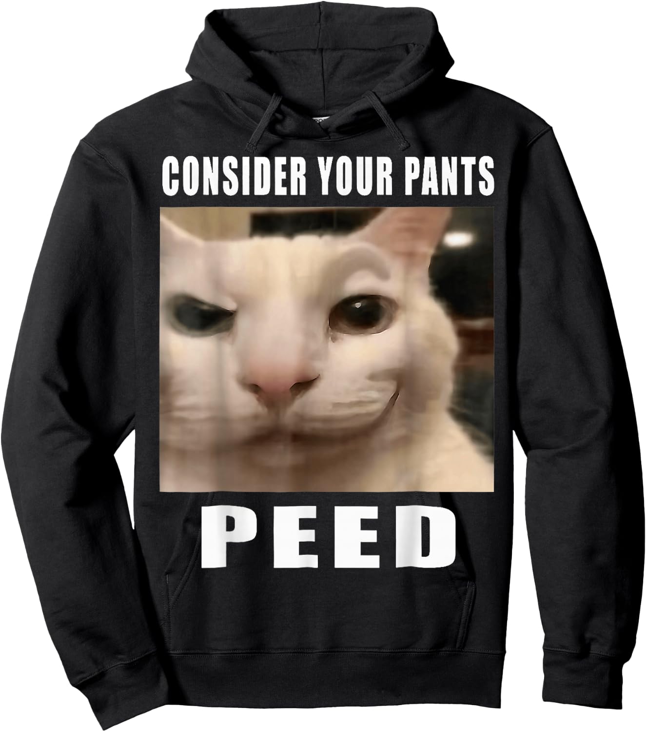 Consider Your Pants Peed Cat Funny Hoodie - Hoodie | Black