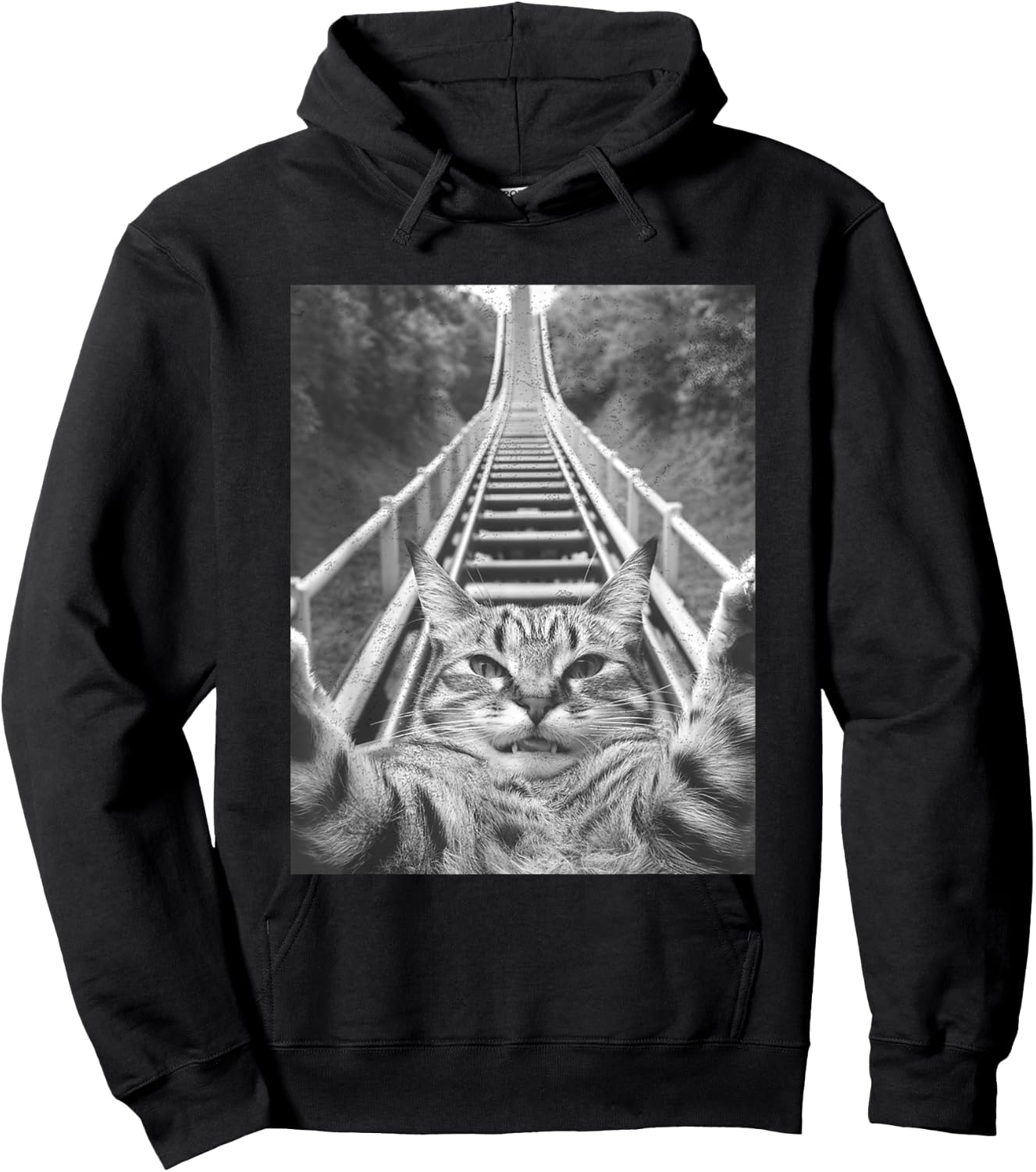 Cat Selfie on Roller coaster Men Women Kids Hoodie - Hoodie | Black
