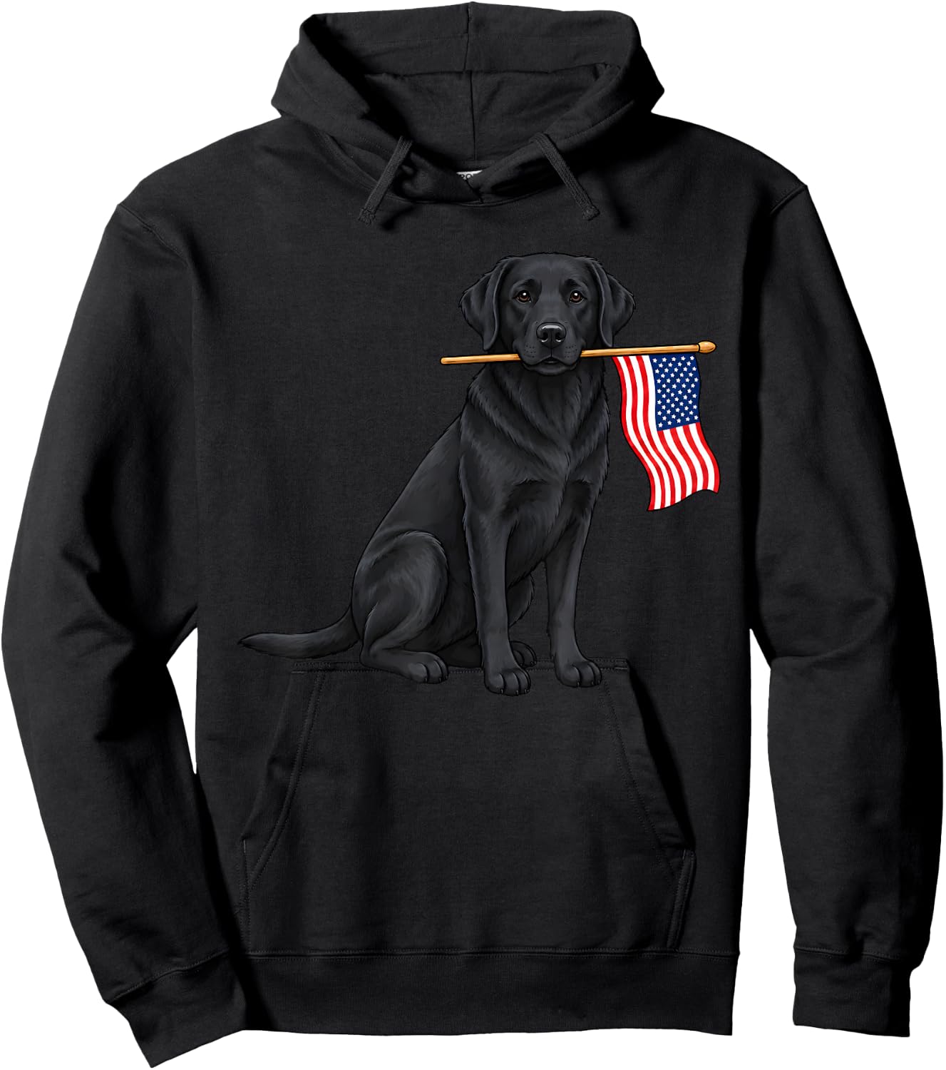 Black Lab 4th of July Patriotic Dog Fourth of July Hoodie - Hoodie | Black
