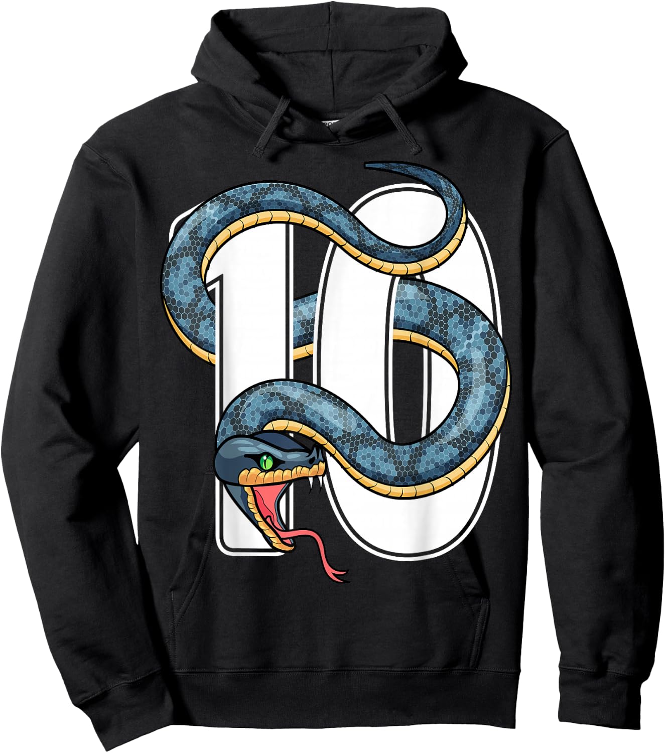 10th Birthday Snake Lover Ten 10 Year Old Birthday Boy Girl Hoodie - Hoodie | Black