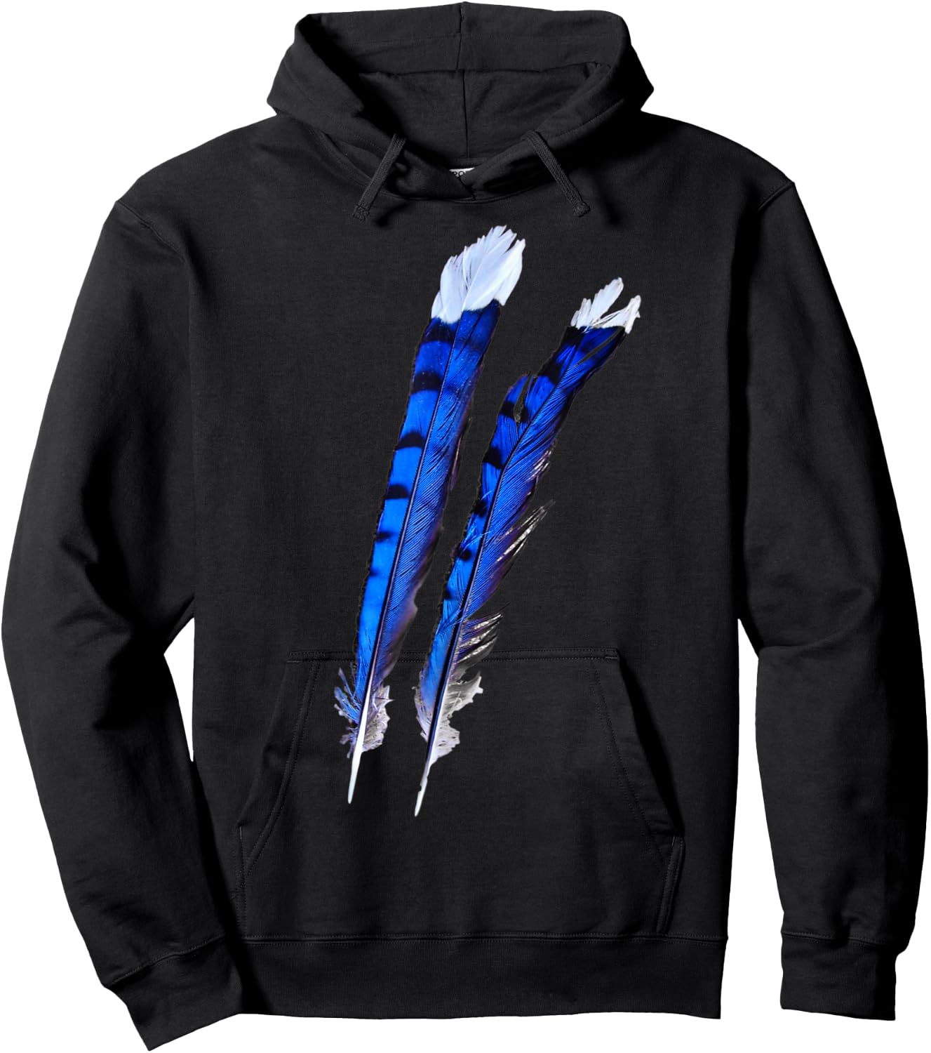 Blue Jay Bird Feathers Blue Beautiful Wildlife Birder Gift Hoodie - Hoodie | Black