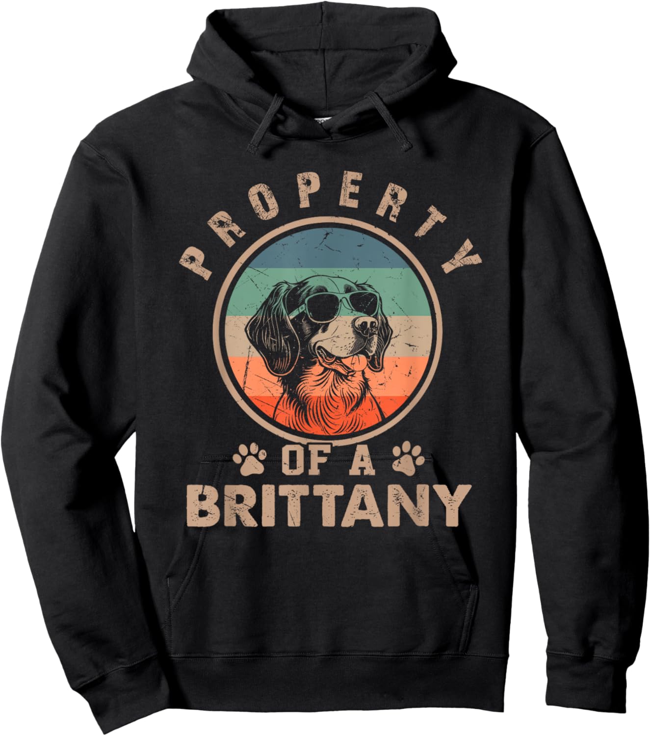 Property Of A Brittany Gifts Funny Brittany Dog Lover Owner Hoodie - Hoodie | Black