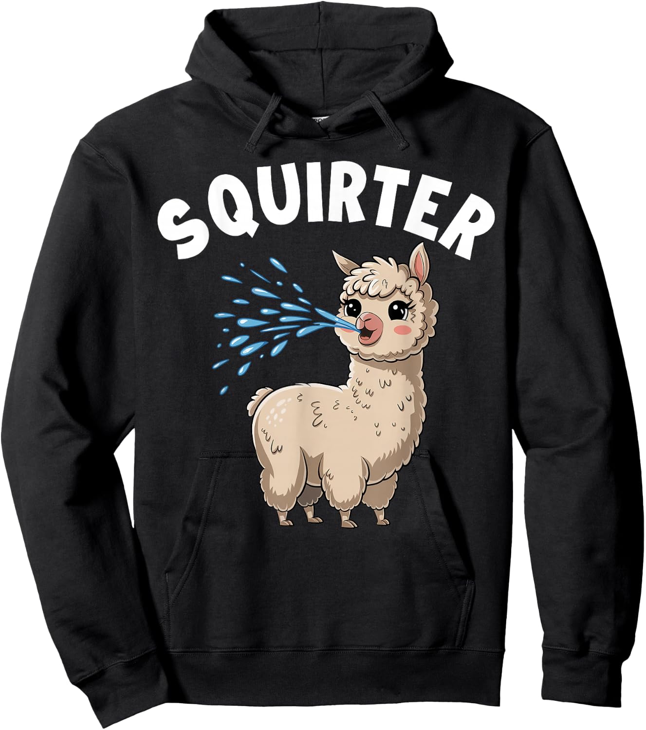 Inappropriate Funny Squirter Embarrassing T Shirts Hoodie - Hoodie | Black