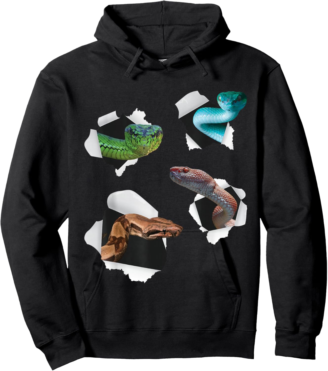 Different Type Of Snakes - Snake Lover Herpetology Zookeeper Hoodie - Hoodie | Black