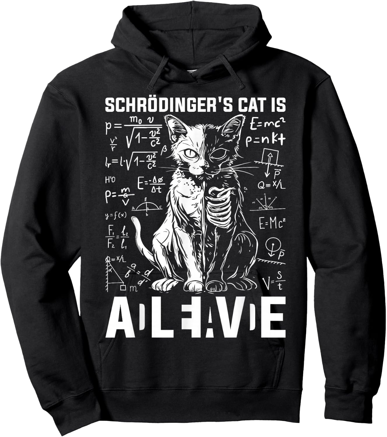 Schrodinger's Cat Dead And Alive Physics Hoodie - Hoodie | Black