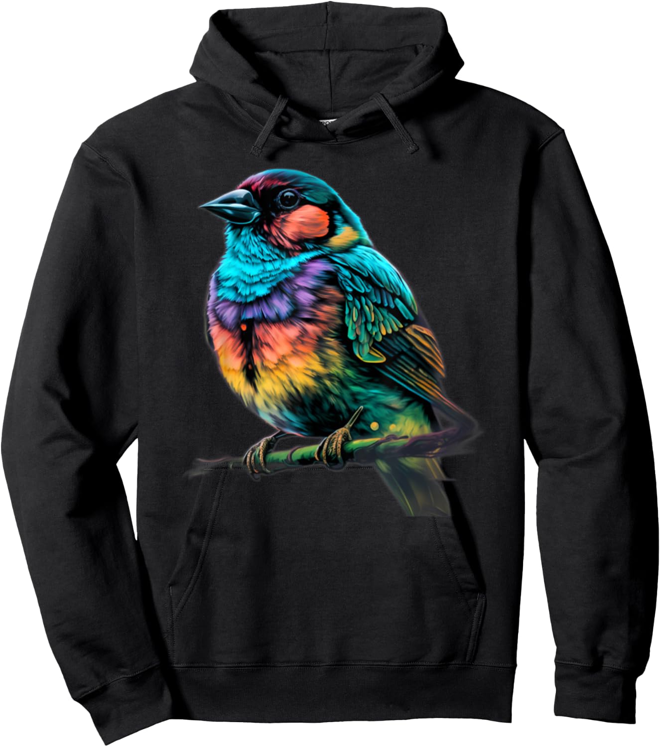 Cute Garden Hummingbird Gifts Colorful Finch Hoodie - Hoodie | Black