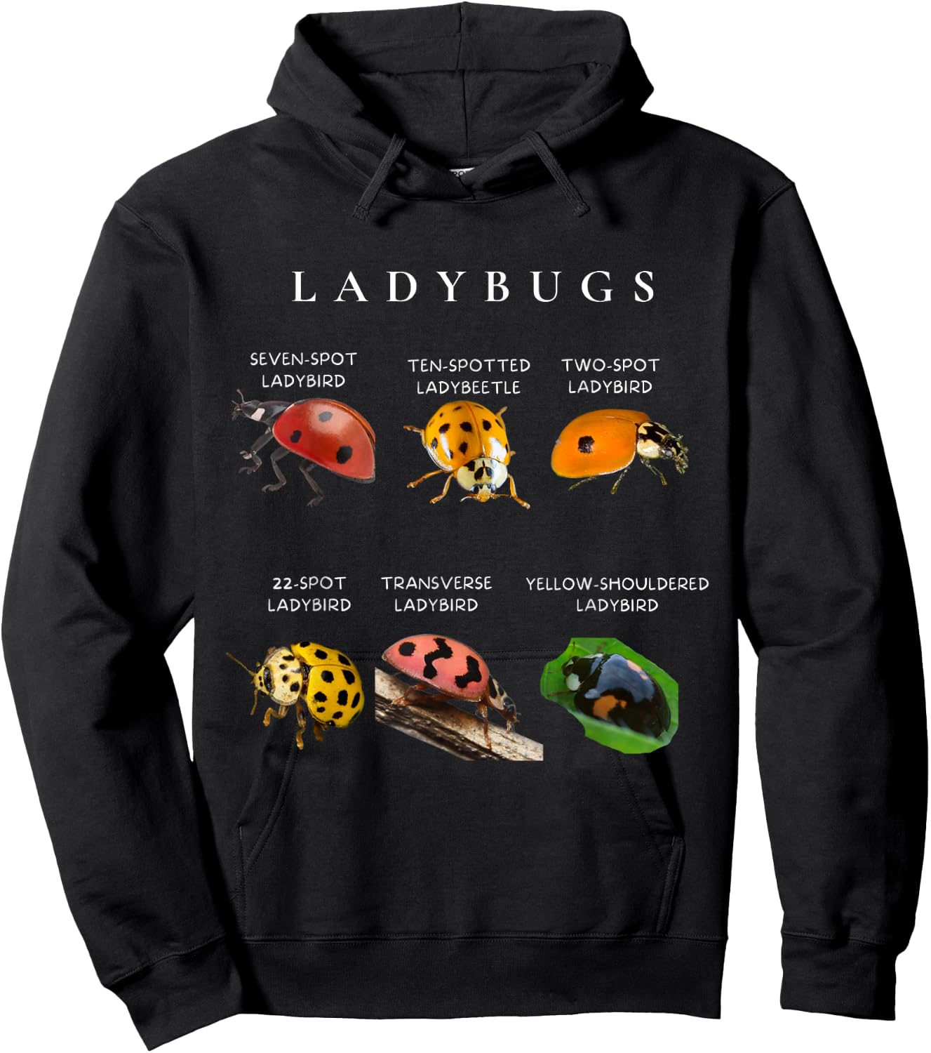 Types of ladybugs insects bug identification science Hoodie - Hoodie | Black