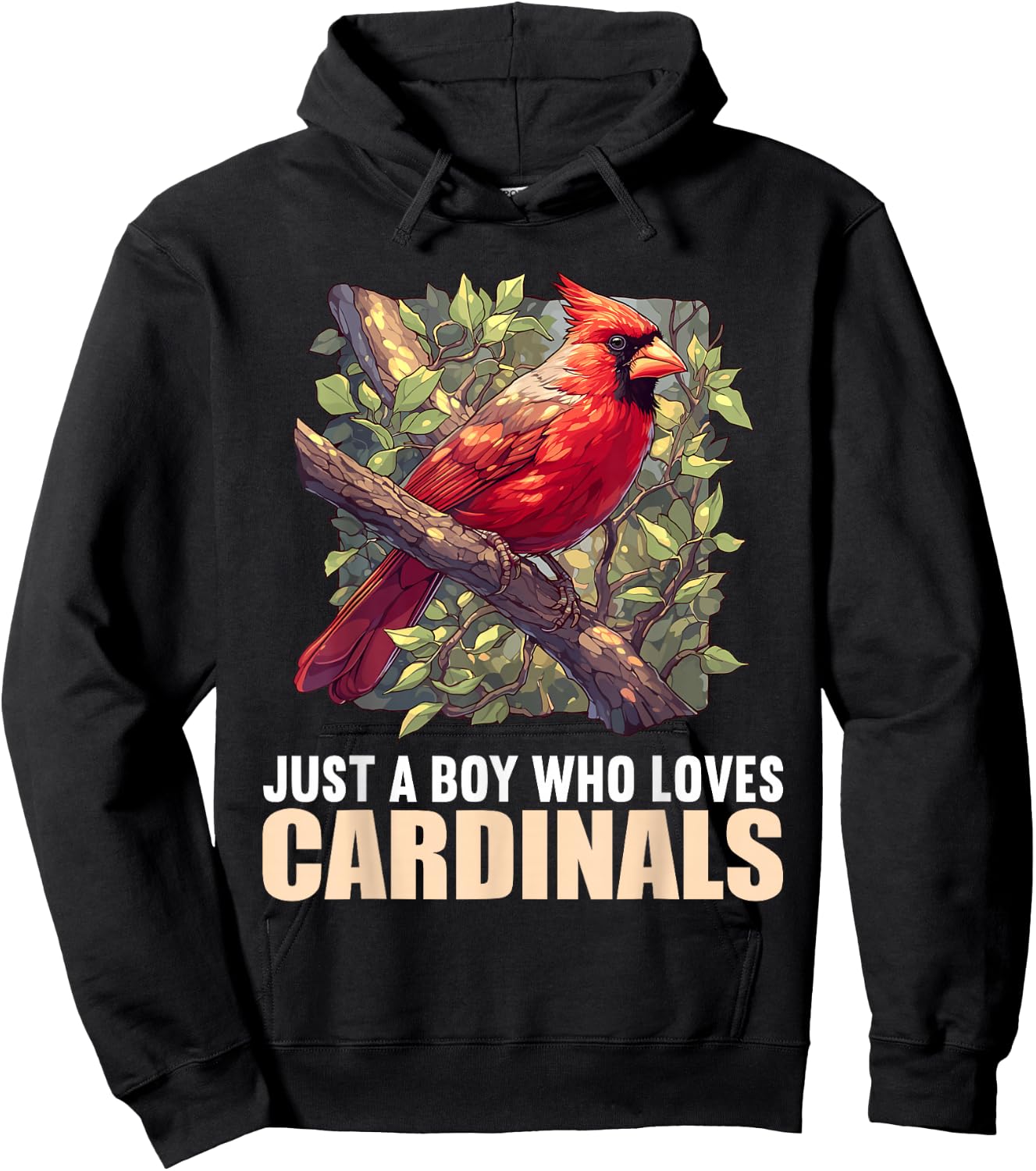 Just a Boy who loves Cardinals Cardinal Bird Hoodie - Hoodie | Black