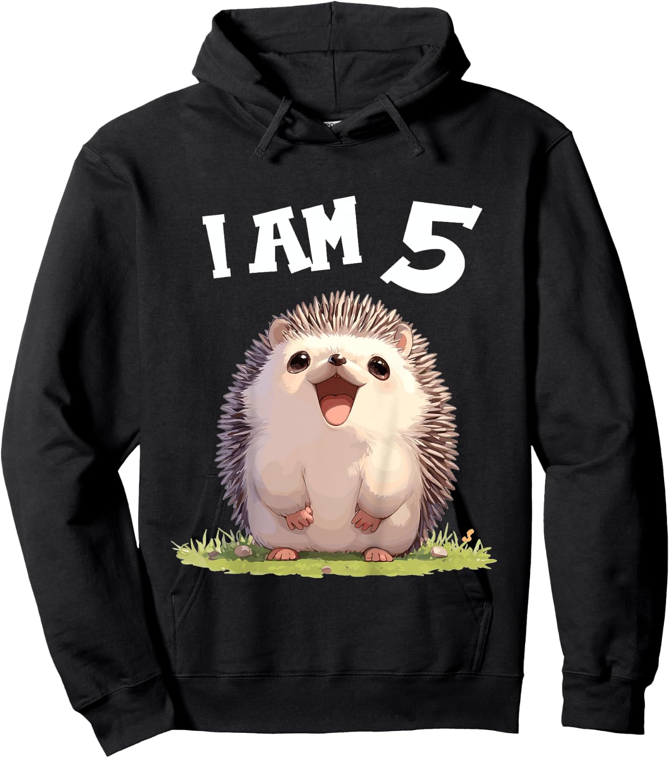 Kids 5 Years old 5 birthday Hedgehogs Boy Girl Hedgehog Hoodie - Hoodie | Black