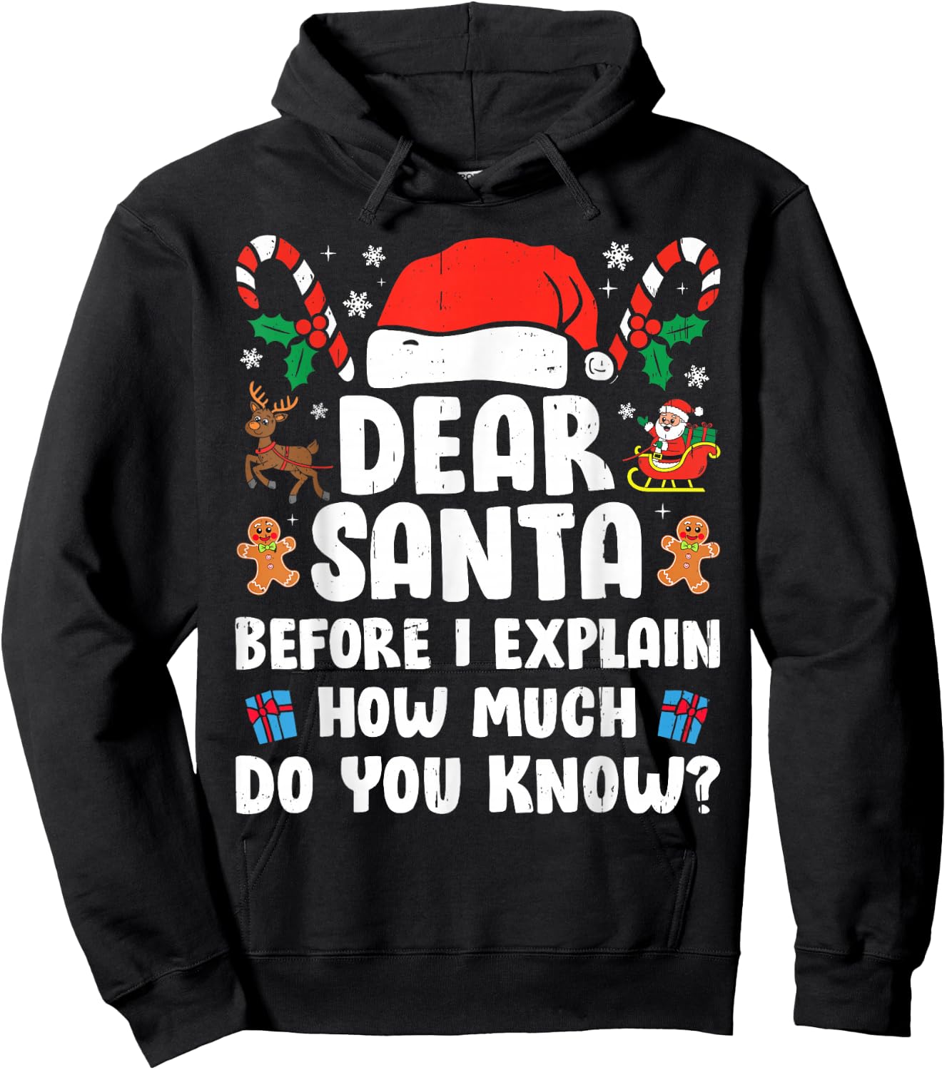 Dear Santa I Can Explain Funny Christmas Xmas Men Women Kids Hoodie - Hoodie | Black