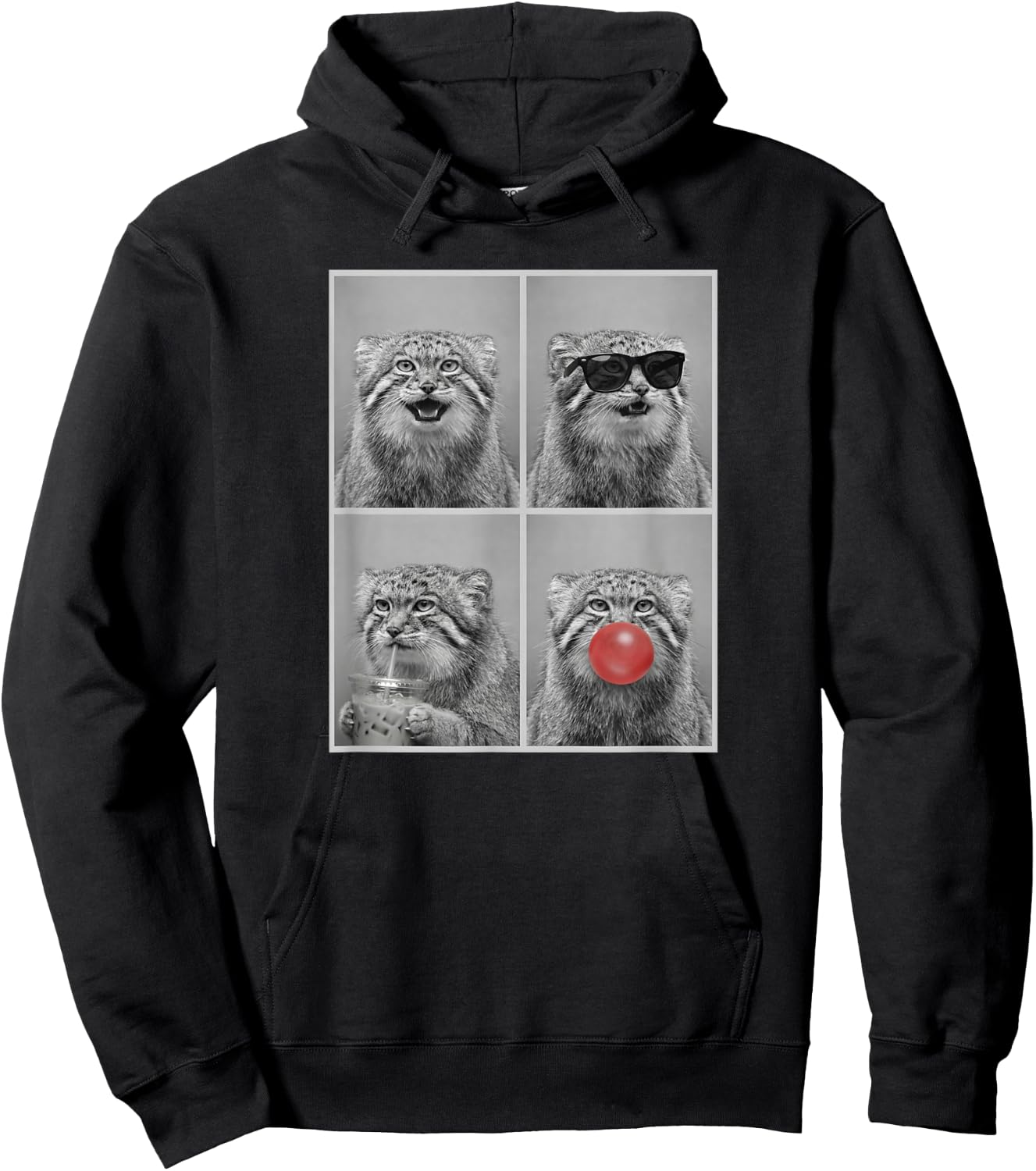 Pallas's Cats Funny Pallas's cat Hoodie - Hoodie | Black