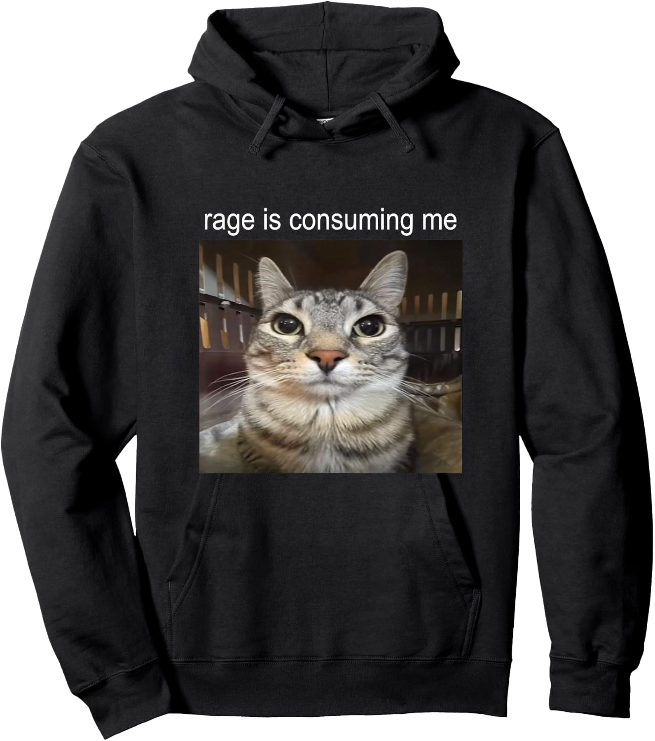 Wut verzehrt mich Dummes Starrendes Katzen-Meme , black Hoodie - Hoodie | Black