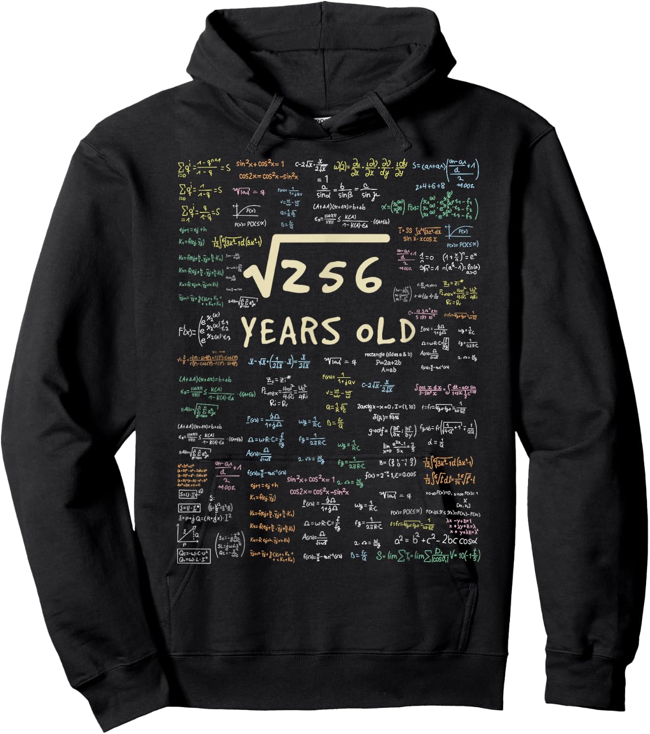 Maths Birthday Gift - 16 Years Formula 16 Birthday Hoodie - Hoodie | Black