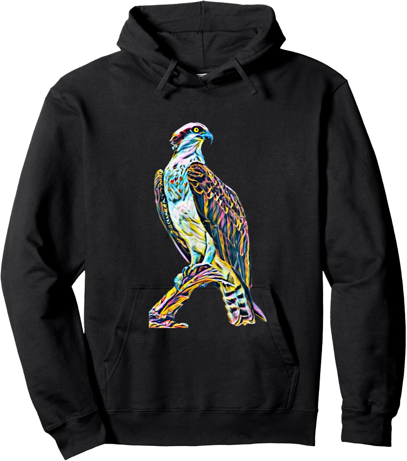Hawk Bird of Prey Motif Beak Claws Birds colorful Falcon Hoodie - Hoodie | Black