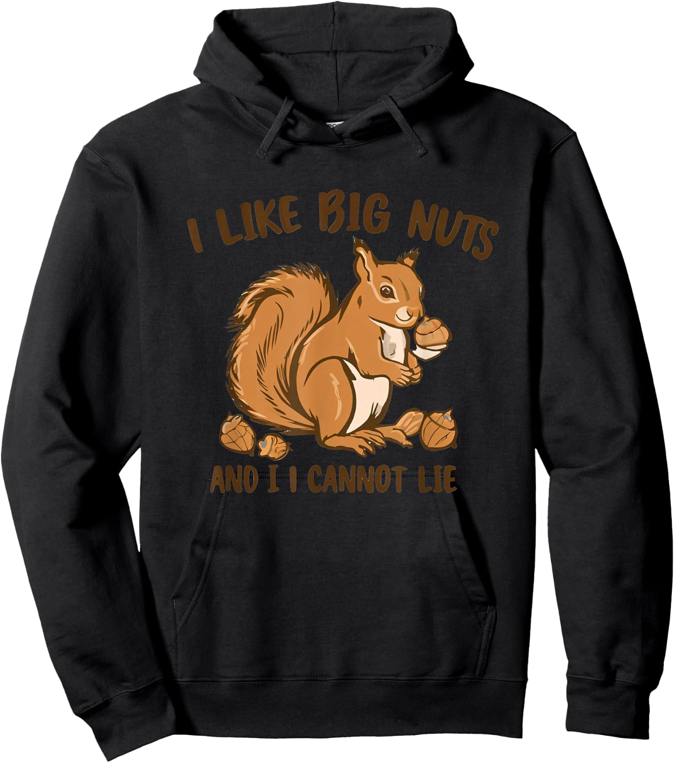 I LIKE BIG NUTS AND I CANNOT LIE Funny Hoodie - Hoodie | Black