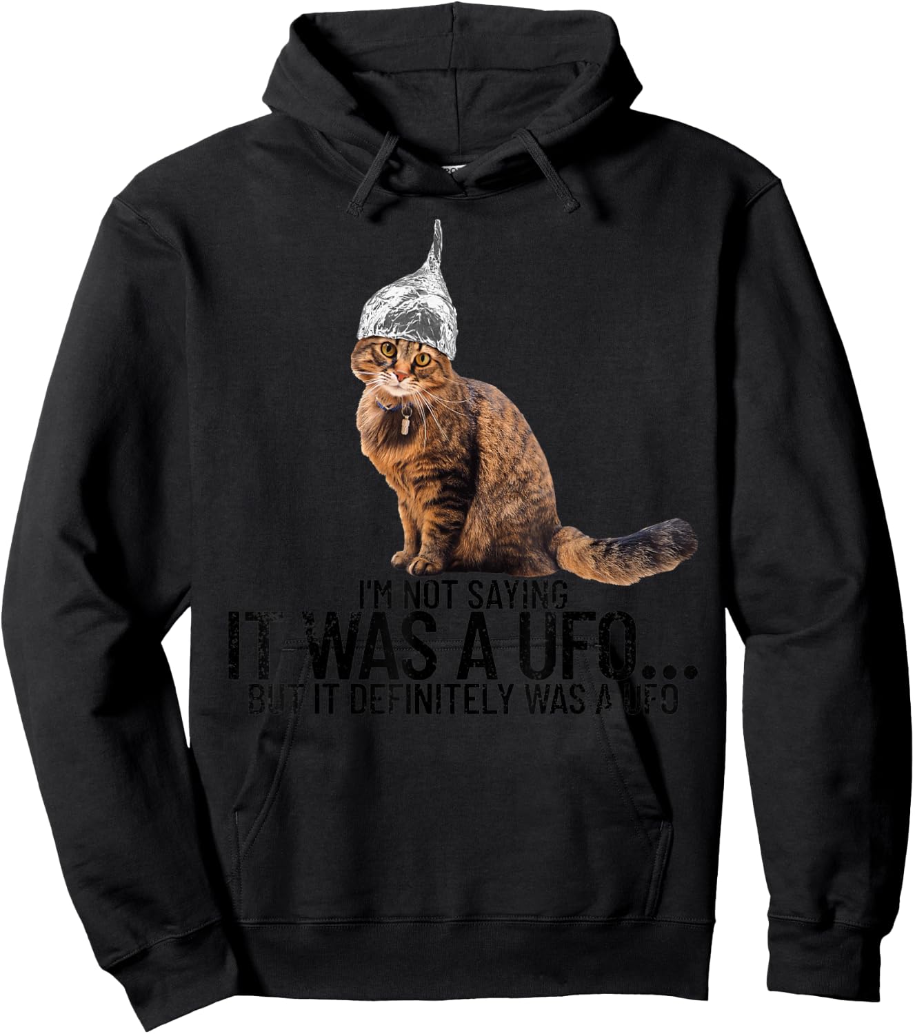 Conspiracy Cat UFO Conspiracy Theory Aliens Tin Foil Hat Hoodie - Hoodie | Black