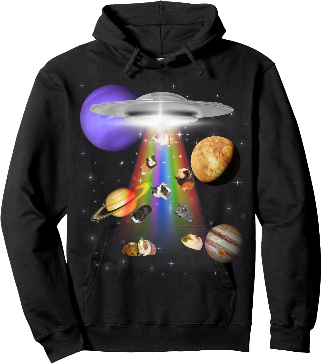 Guinea Pig Lover Alien Abduction UFO LGBTQ Subtle Pride Hoodie - Hoodie | Black