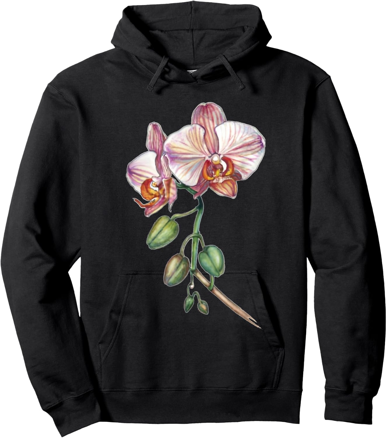 Orchid, butterfly orchid, Phalaenopsis spec. buds Hoodie - Hoodie | Black