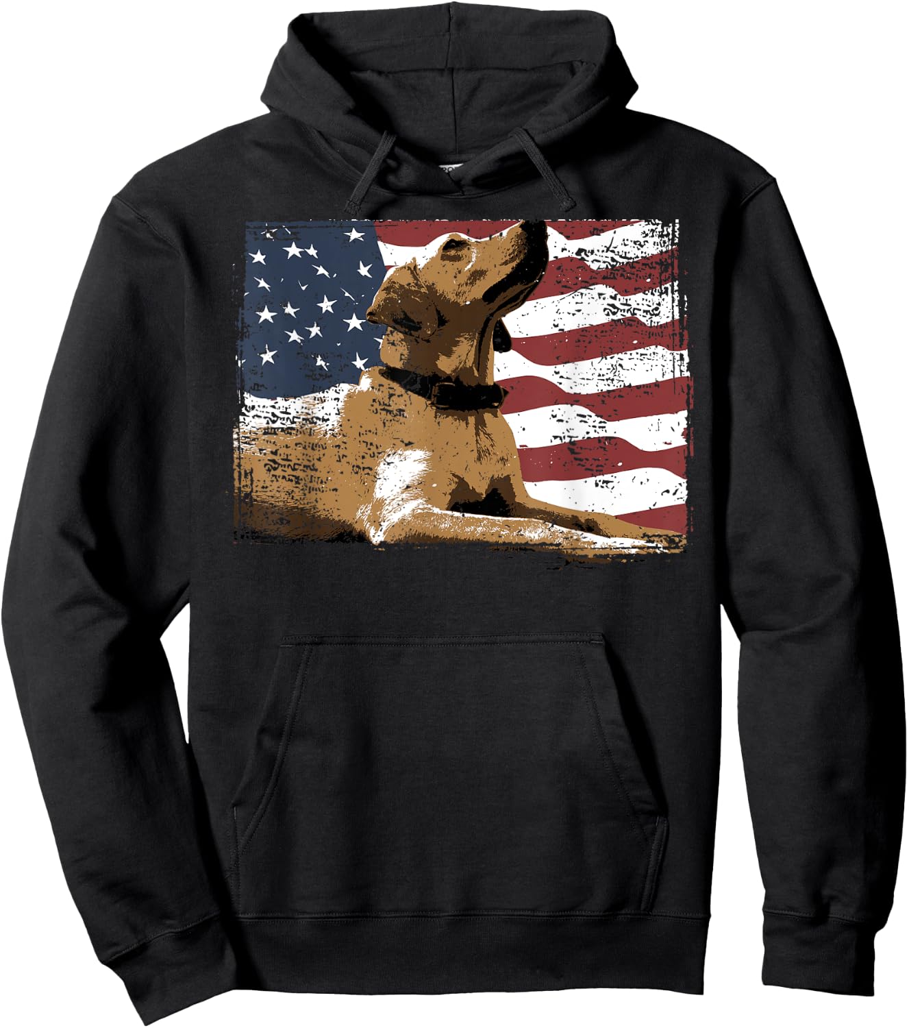 Patriotic USA Flag Black Labrador Gift Lab Owners Men Hoodie - Hoodie | Black