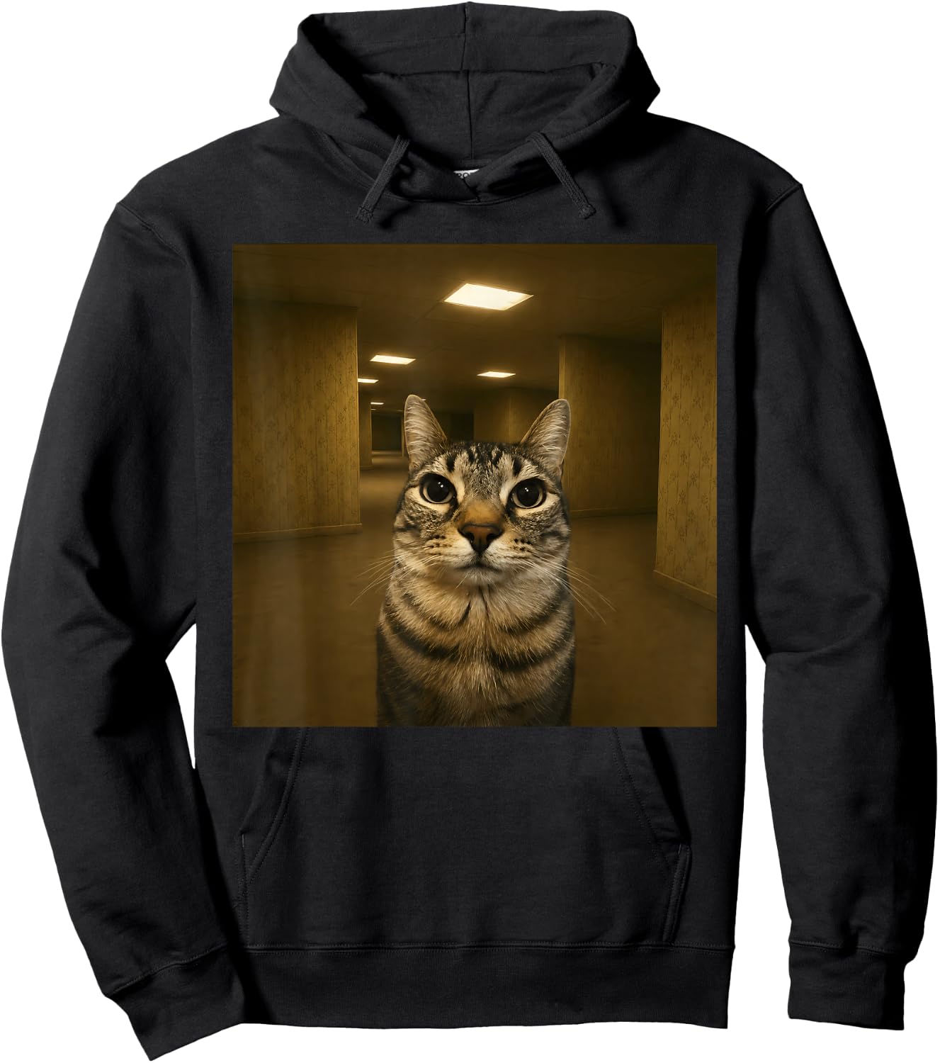 Cat in The Backrooms Liminal Space Funny Meme Hoodie - Hoodie | Black