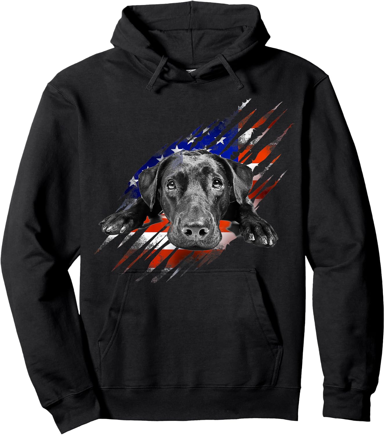 Black Labrador USA Flag Lab Owner Bird Duck Hunter Gift Men Hoodie - Hoodie | Black