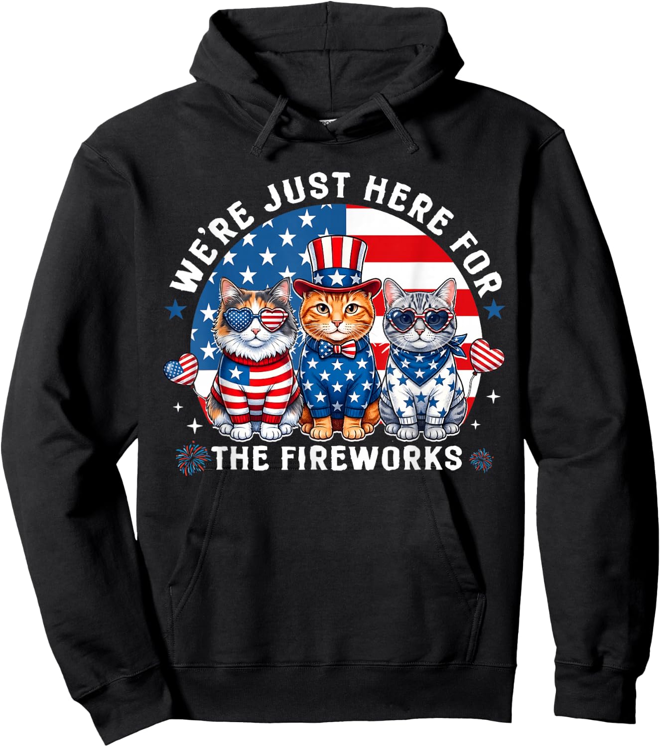 We're Just Here for The Fireworks Cats Patriotic Boy Girl Hoodie - Hoodie | Black