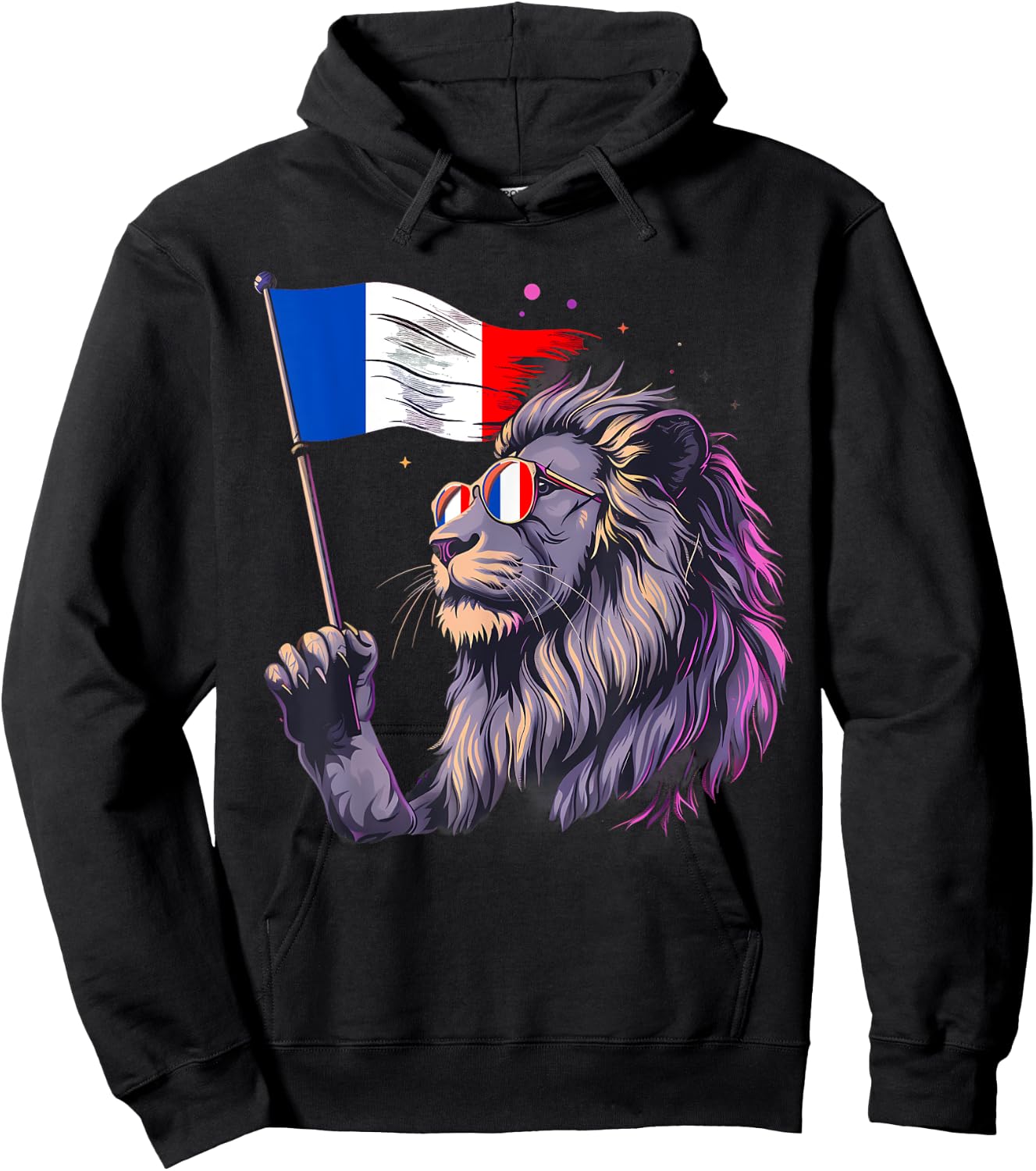 Drapeau Français Lion Racines Françaises Fierté Française France Hoodie - Hoodie | Black