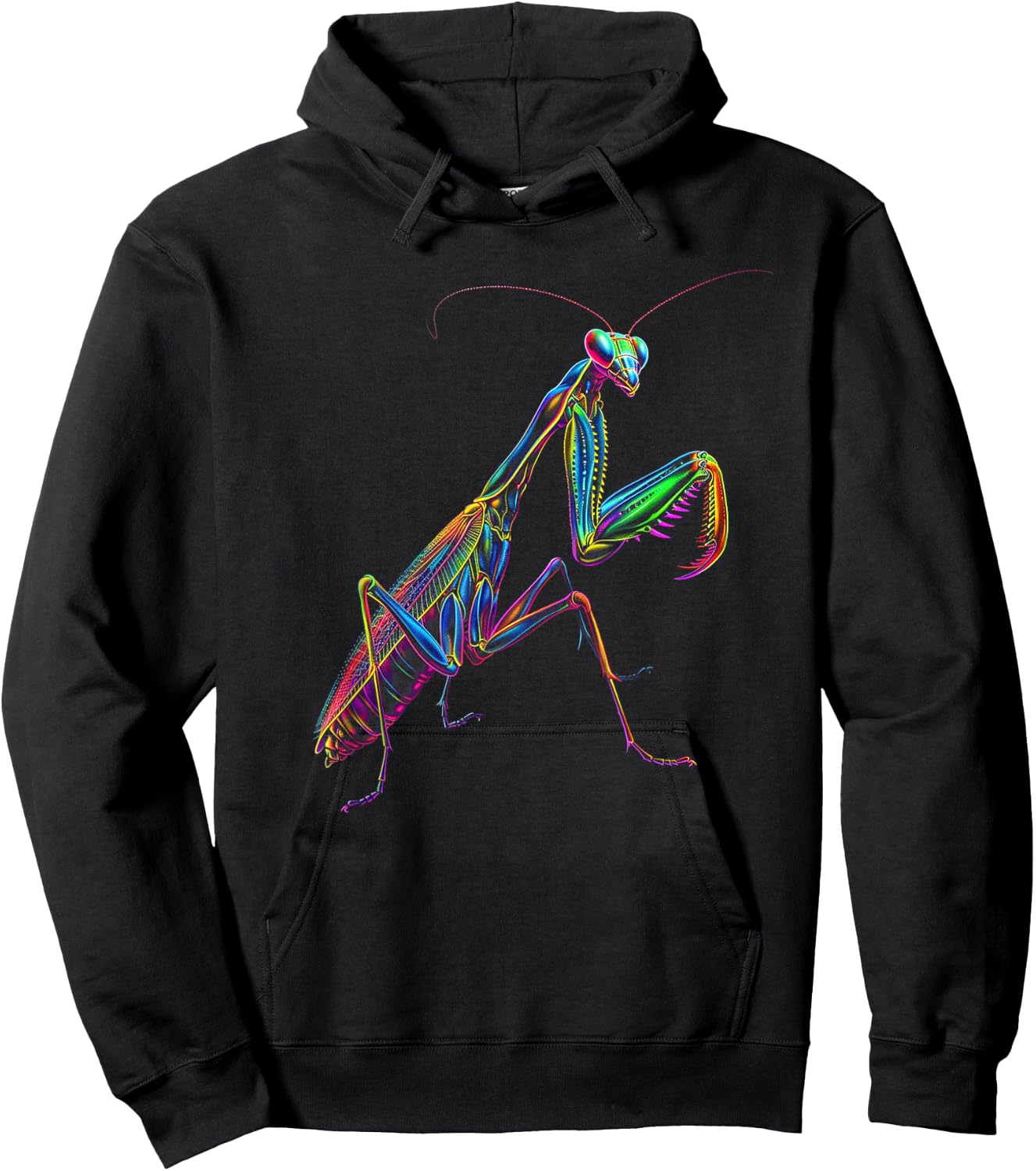 Praying Mantis Funny Bug Insect Entomology Entomologist Hoodie - Hoodie | Black